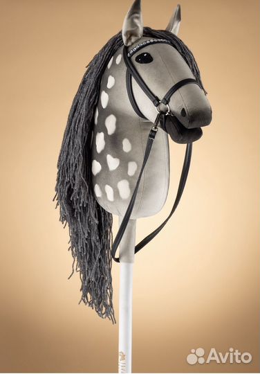 Занятия по хоббихорсингу