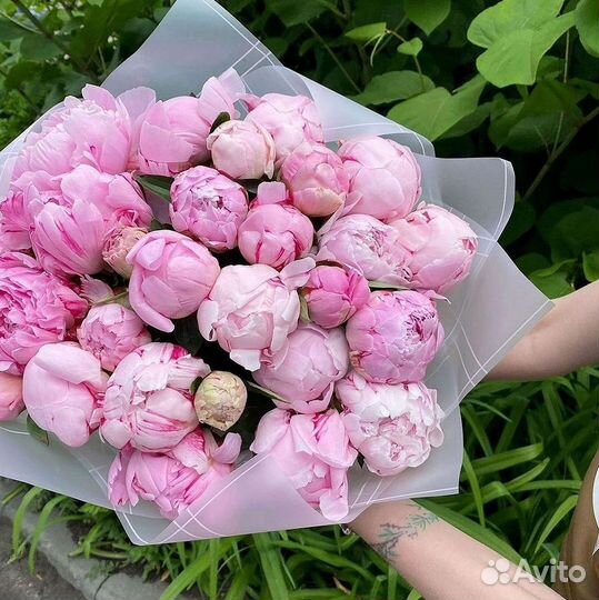 Пионы Цветы Доставка