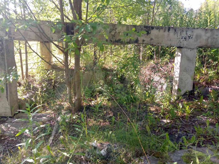 Дача 39 м² на участке 12,6 сот.