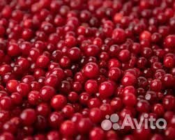 Брусника, черника