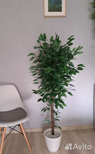 Искусственное дерево Фикус