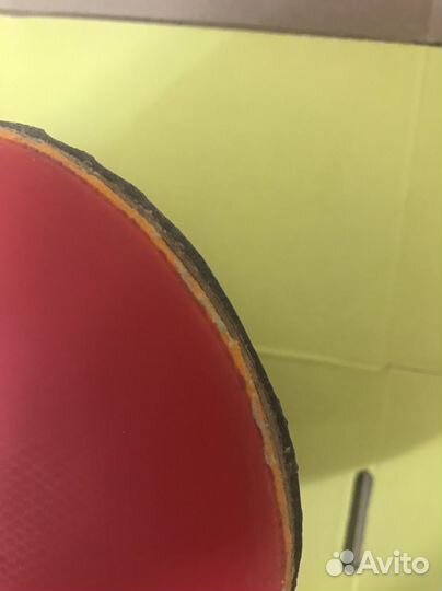 Продаю короткие шипы OX Dr. Neubauer Terminator