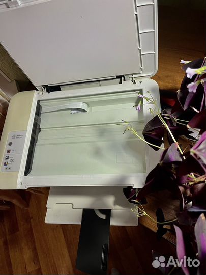 Мфу Принтер HP Deskjet 1510
