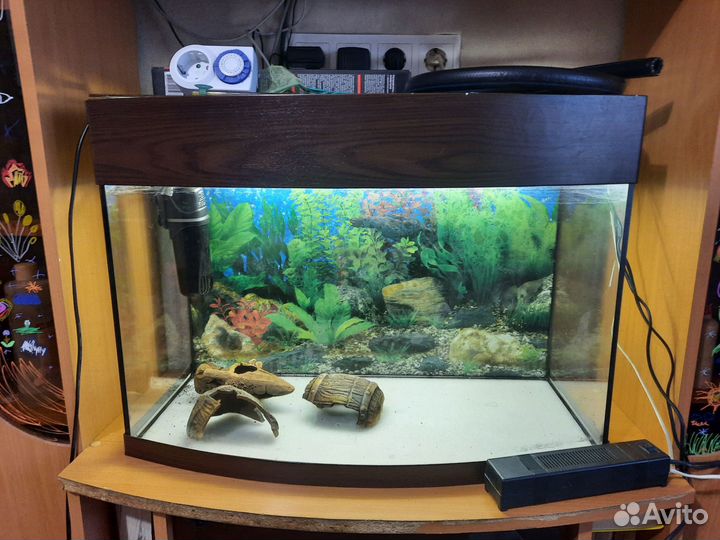 Аквариум