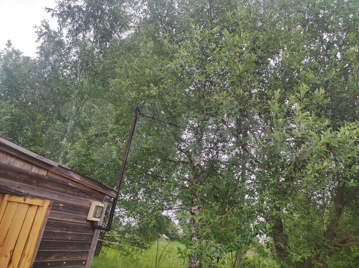 Участок 10 сот. (СНТ, ДНП)