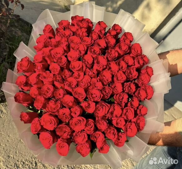 101 роза 70 см