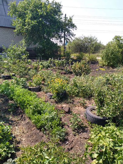 Дача 10 м² на участке 6 сот.