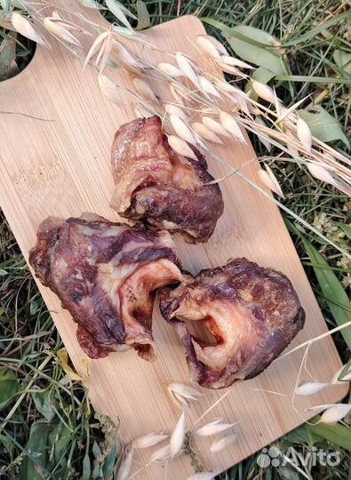 Лакомства для собак