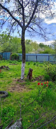 Дом 17 м² на участке 5 сот.