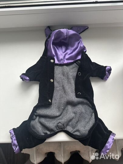 Костюм для собаки