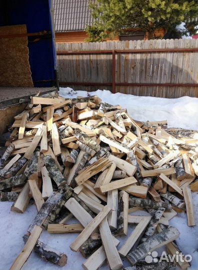 Дрова береза