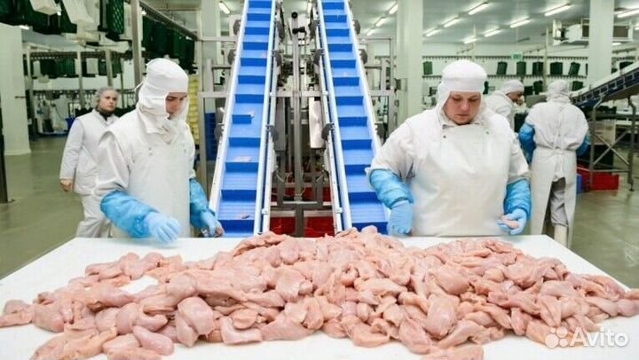 Разнорабочий на мясное производство(Вахта)