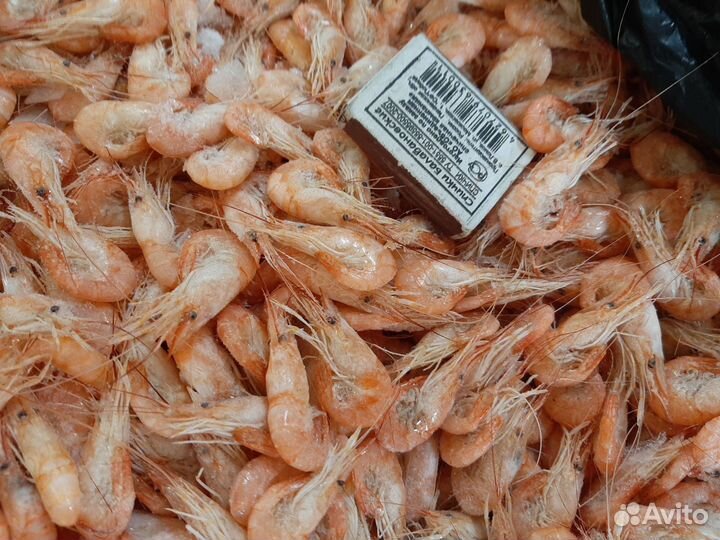 Живая рыба оптом