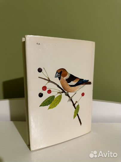 Книга Певчие птицы Артия