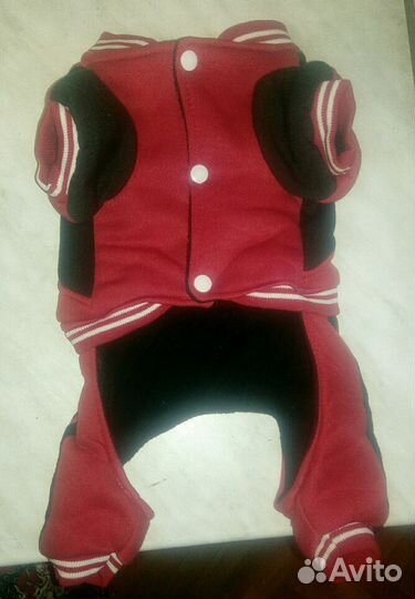 Спортивный костюм для собачки