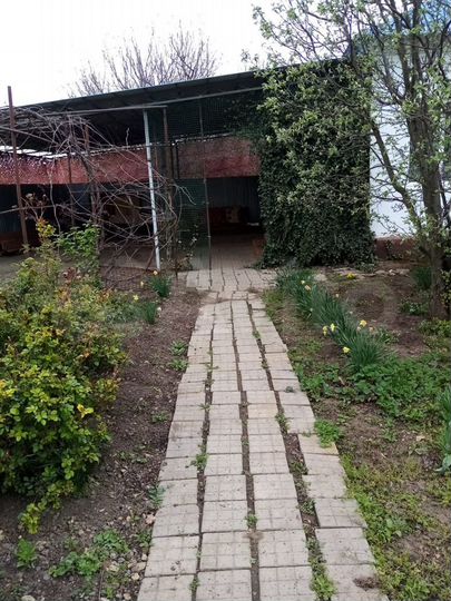 Дом 97 м² на участке 29 сот.