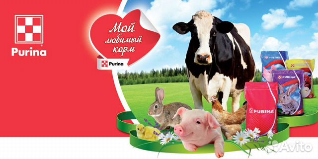 Комбикорм Purina