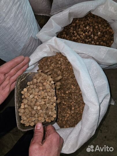 Корм для собак