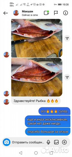 Лосось дальневосточный