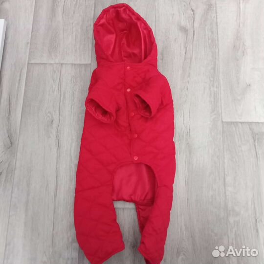 Одежда для собак