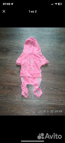 Боди для щенка