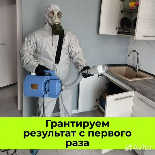 Уничтожение клопов, тараканов, кротов. Дезинфекция