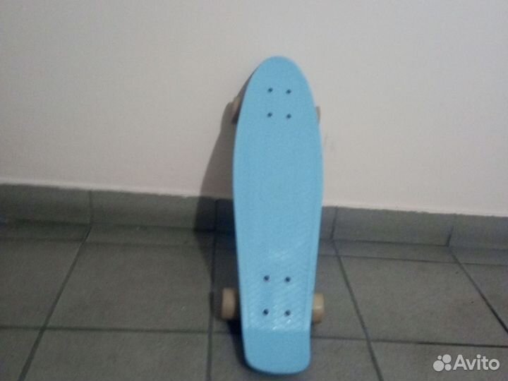 Пениборд взрослый