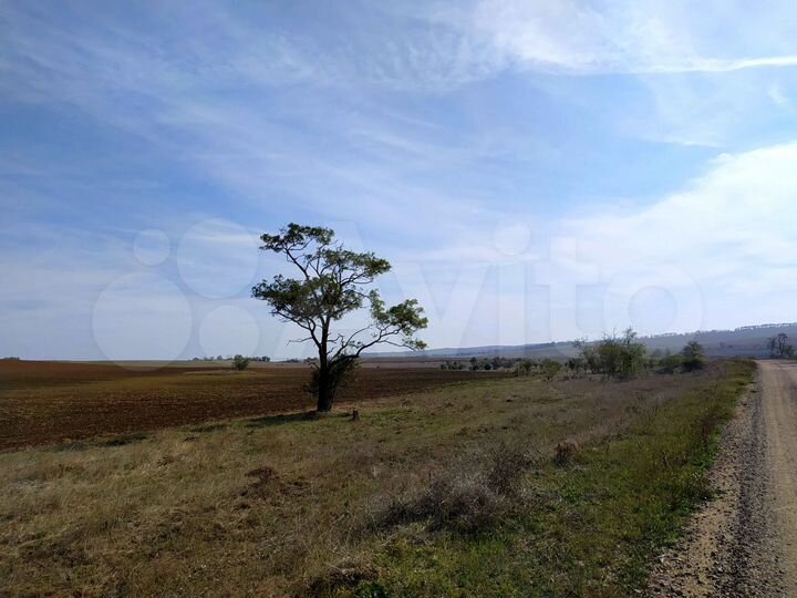 Участок 100 сот. (СНТ, ДНП)