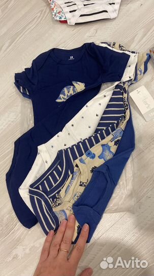 Боди картерс