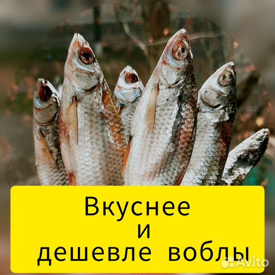 Рыбные семечки Сорожка. Воронеж