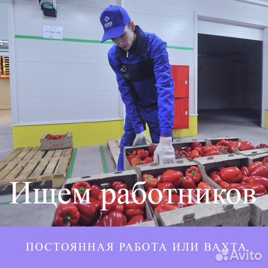 Разнорабочий