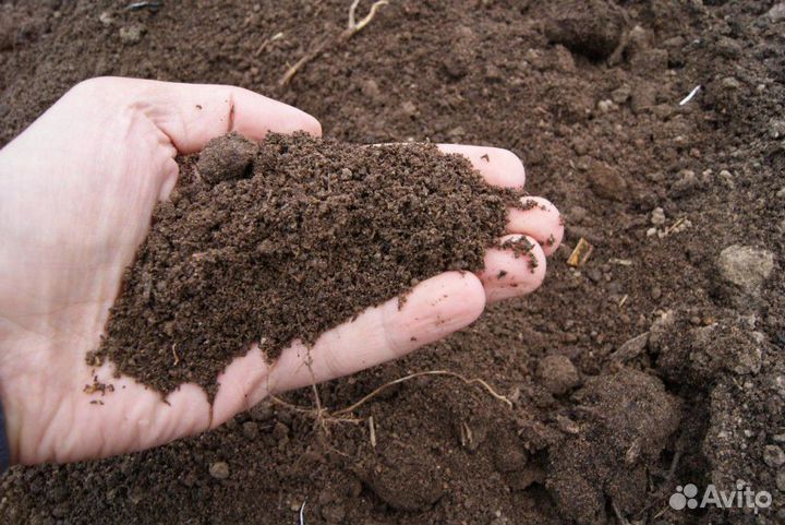 Реализуем органическое удобрение (перегной крс)