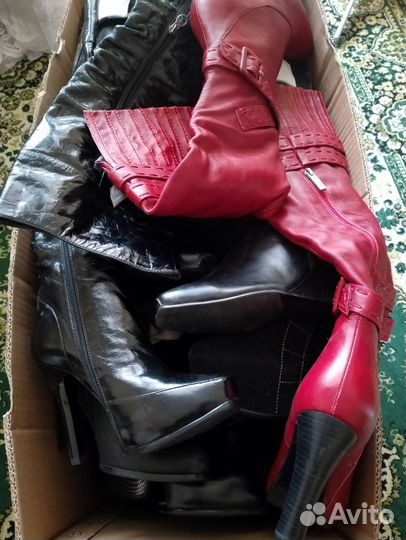 Сапоги женские