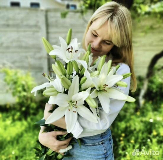 Лилии цветы