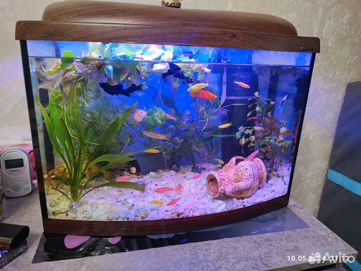 Аквариум с рыбками