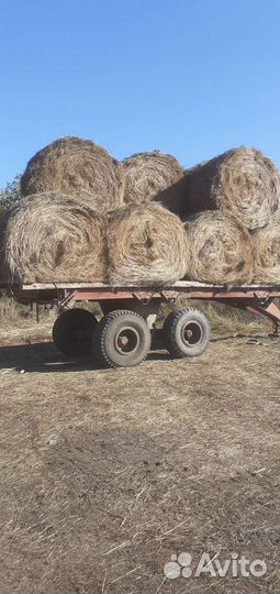 Продам сено в рулонах