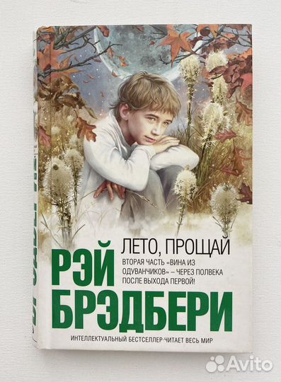 Рэй Брэдбери, Лето прощай