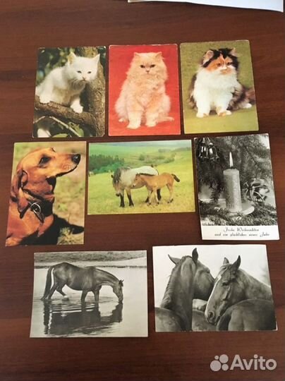 Открытки СССР, гдр (дети, животный мир)