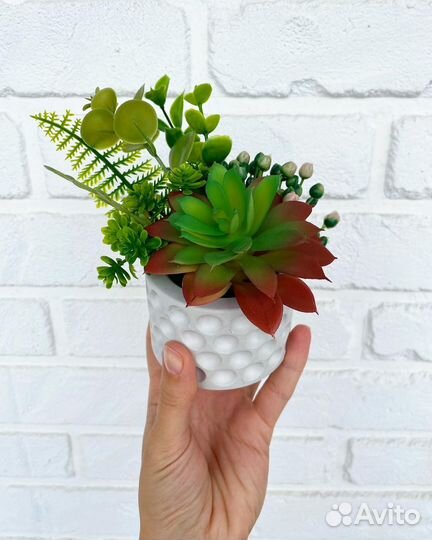 Суккуленты декоративные искусственные растения
