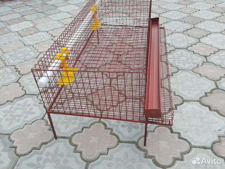 Клетка для перепелок