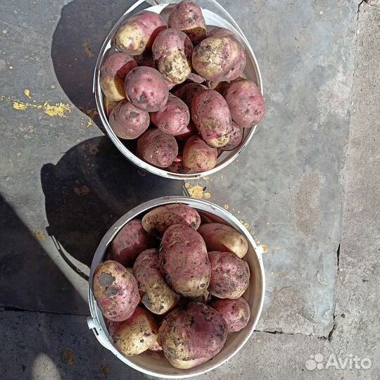 Продукты