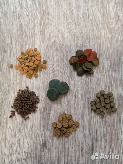 Номерные сомики, креветки синие, корм, грот