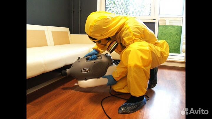 Уничтожение Клопов Клещей Ос Грызунов Борщевика