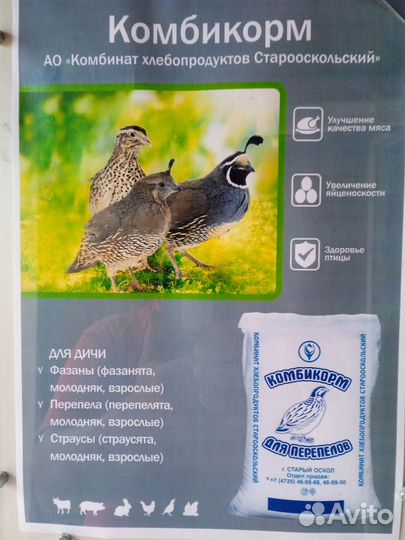 Комбикорм