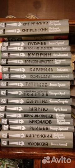 Жзл, Русская классика, школьная библиотека