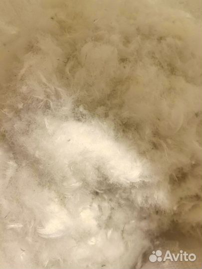 Пух гусиный белый