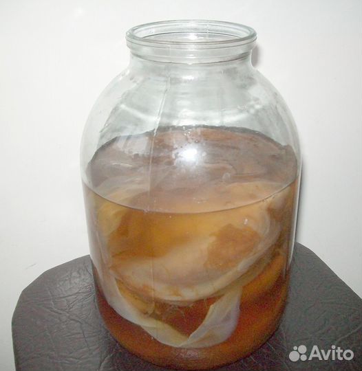 Чайный гриб