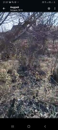 Дача 13 м² на участке 6 сот.