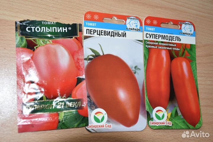Рассада помидор