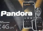 Pandora VX 4g gps v2 с установкой